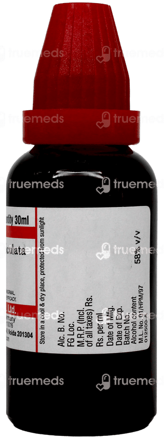 Dr Willmar Schwabe Andrographis Paniculata Q Mother Tincture 30ml